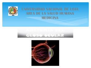 Anatomía Del Globo Ocular 1
