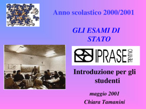Anno scolastico 2000/2001 Introduzione per gli studenti maggio 2001 Chiara Tamanini