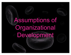 Assumptions of Organizational Development (Nursing Administration 3)