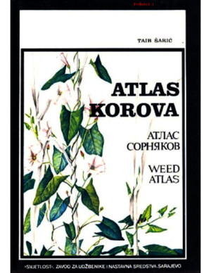 Atlas Korova