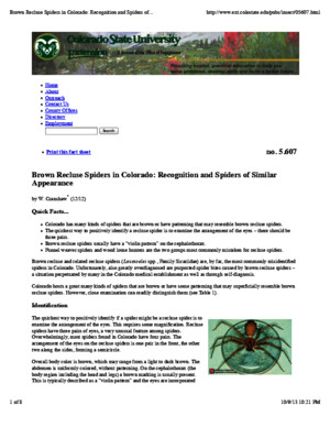 Brown Recluse Spiders in Colorado: Recognition and Spiders of Similar Appearance