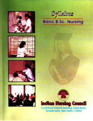 BSc Nursing syllpdf
