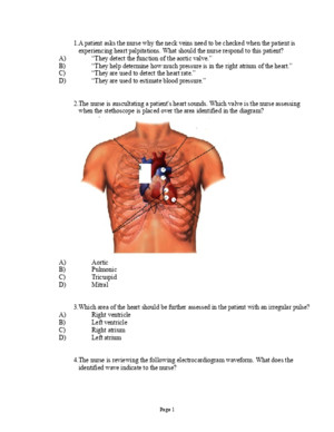 Chapter 14- The Cardiovascular System