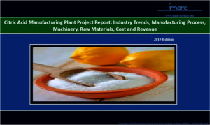 Citric Acid Manufacturing Plant Project Report
