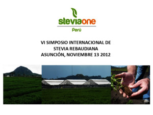 11 Stevia One La Experiencia Peruana
