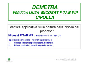 DEMETRA VERIFICA LINEA MICOSAT F TAB WP CIPOLLA verifica applicativa sulla coltura della cipolla del prodotto : Micosat F TAB WP + Nutribacter + Ti-Tack