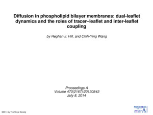 Diffusion in phospholipid bilayer membranes: dual-leaflet dynamics and the roles of tracer–leaflet and inter-leaflet coupling by Reghan J Hill, and Chih-Ying