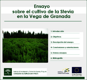 Ensayo sobre el cultivo de la Stevia en la Vega de Granadapdf