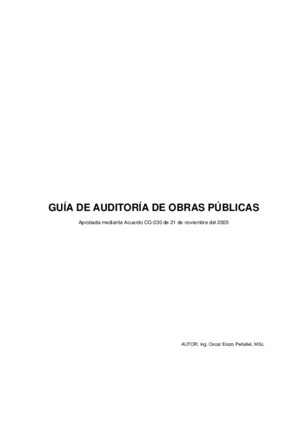 Guia de Auditoria Entidades Publicas