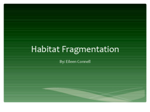 Habitat Fragmentation By: Eileen Connell What is Habitat Fragmentation? Natural  Rivers  Volcanoes  Glacial Movement Anthropogenic (Human-Made) 