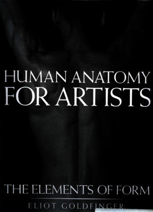 Human Anatomy for Artists