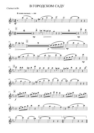 В ГОРОДСКОМ САДУ - Clarinet in Bb - 2015-05-01 1834 - Clarinet in Bb