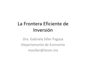 La Frontera Eficiente de Inversión Dra Gabriela Siller Pagaza Departamento de Economía masilleritesmmx