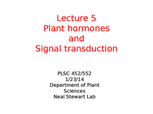 Lecture 5 Plant hormones 2014ppt