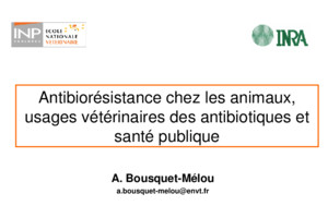 M1-2009 1 Antibiorésistance chez les animaux, usages vétérinaires des antibiotiques et santé publique A Bousquet-Mélou abousquet-melouenvtfr ECOLE