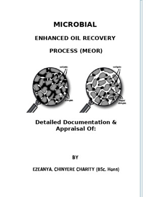 Microbial Enhanced Oil Recovery Process