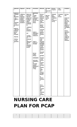 Nursing Care Plan for Pcap