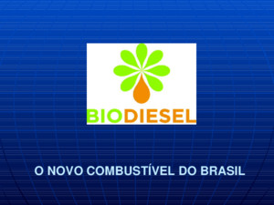 O NOVO COMBUSTÍVEL DO BRASIL CIENCIAS NATURAIS E EXATAS Biodiesel Princípio, Impacto Ambiental, Economia e Visão Brasil - Mundial Componentes do Grupo
