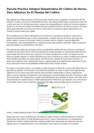 Parcela Practica Integral Demostrativa De Cultivo De Stevia, Para Adiestrar En El Manejo Del Cultivo