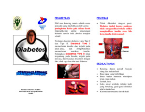 Print Leaflet Diabetes Melituspdf