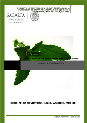 Proyecto Stevia Municipio de Acala Chiapas