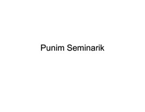 Punim Seminarik