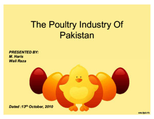 A Complete Analysis of the Poultry Industry of Pakistan (Mohammad Ali Jinnah University, Karachi)