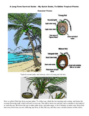 A Long-Term Survival Guide - My Quick Guide to Edible Tropical Plants