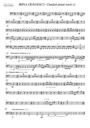 03 Cantand Plaiul Mioritei PERC 4 Apr2015 Part Generala - Bass Guitarmus