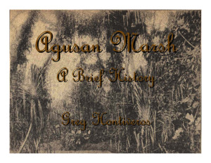 Agusan Marsh Brief History