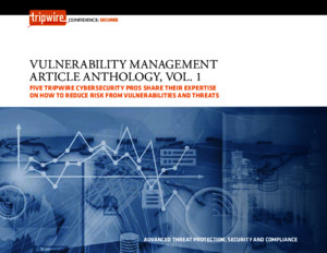 Vulnerability Management Article Anthology, Vol 1