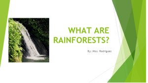 WHAT ARE RAINFORESTS? By: Miss Rodriguez Today You will Learn  What is a rainforest?  Where are Tropical Rainforest located?  What makes a Rainforest?