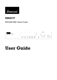 Sony FDR-AX53 User Manual