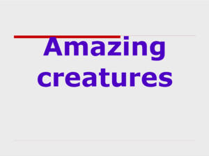 Amazing creatures Practice Speaking aboutSpeaking about animals and pets; Listening;Listening; Writing tests andWriting tests and sending an e-mail;
