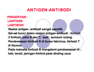ANTIGEN-ANTIBODI-pdf