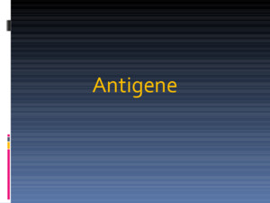Antigene Gli antigeni sono quelle sostanze che introdotte in un organismo animale, inducono la formazione di anticorpi o una risposta cellulo-mediata
