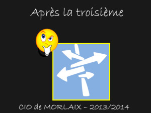Après la troisième CIO de MORLAIX – 2013/2014 Après la troisième Voie Générale et Technologique Voie Professionnelle