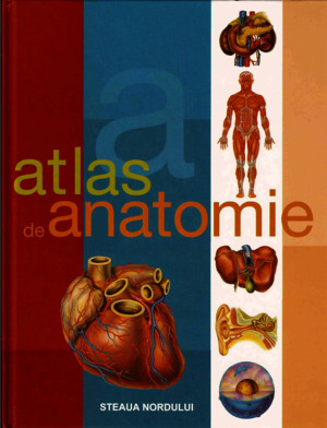 Atlas de anatimie ilustrat