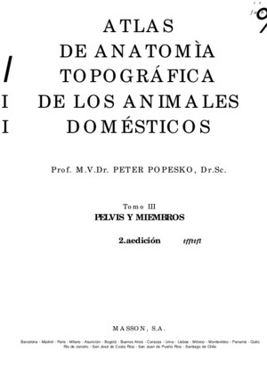 Atlas de anatomía topográfica de los animales domésticos (3) - Peter Popesko