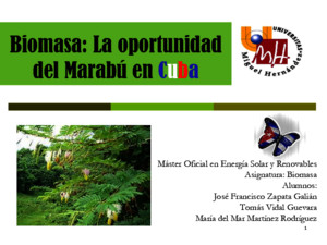 Biomasa La Oportunidad Del Marabu en Cuba