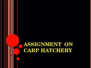 Carp Hatchery