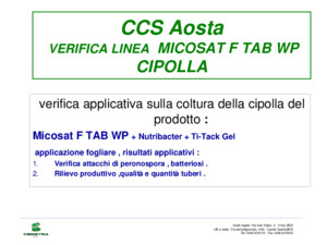 CCS Aosta VERIFICA LINEA MICOSAT F TAB WP CIPOLLA verifica applicativa sulla coltura della cipolla del prodotto : Micosat F TAB WP + Nutribacter + Ti-Tack