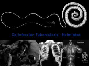 Co-infección TBC - Helmintospptx