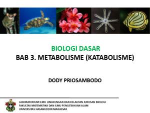 107114162 Bab 3 Metabolisme Katabolisme