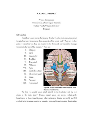 Cranial Nerves HW