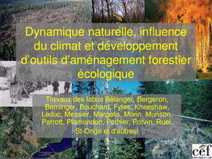 Dynamique naturelle, influence du climat et développement doutils daménagement forestier écologique Travaux des labos Bélanger, Bergeron, Berninger, Bouchard,