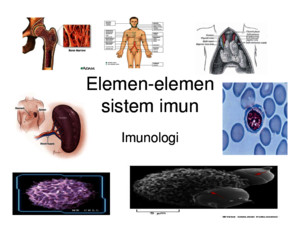 Elemen-Elemen Sistem Imun