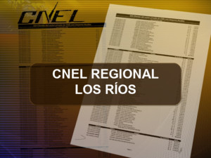 Enlace Ciudadano Nro 210 tema: deudores cnel regional los rios