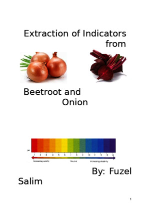 Extraction of Indicators from Beetroot and Onion CBSE Project