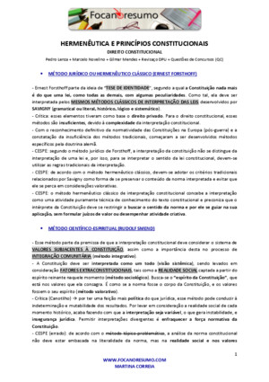 FOCA NO RESUMO_HERMENÊUTICA E PRINCÍPIOS CONSTITUCIONAISpdf